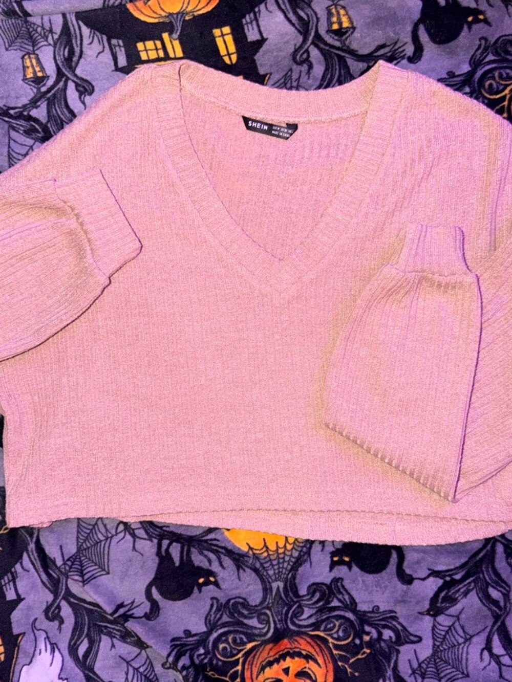 Blush Long Sleeve Crop Top